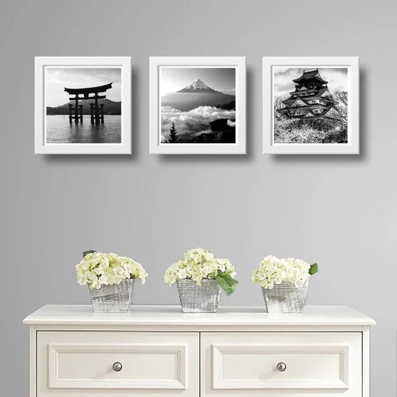 Set 3 Cuadros Japon En Blanco Y Negro Monte Fuji Templo Arte