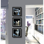 Set 3 Cuadros Implantes Dentales Dentista Clinica Estética