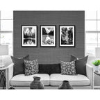 Set 3 Cuadros Paisajes En Blanco Y Negro Arboles Decoración