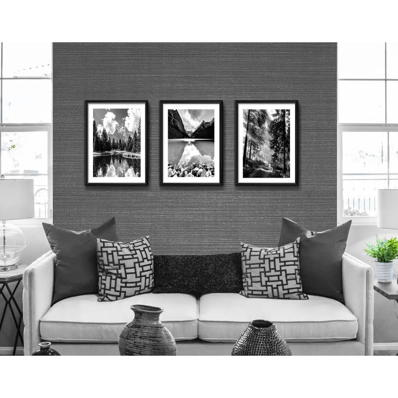 Set 3 Cuadros Paisajes En Blanco Y Negro Arboles Decoración