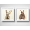 Set 2 Cuadros Conejo Pet Animal Arte Decoracion
