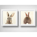 Set 2 Cuadros Conejo Pet Animal Arte Decoracion