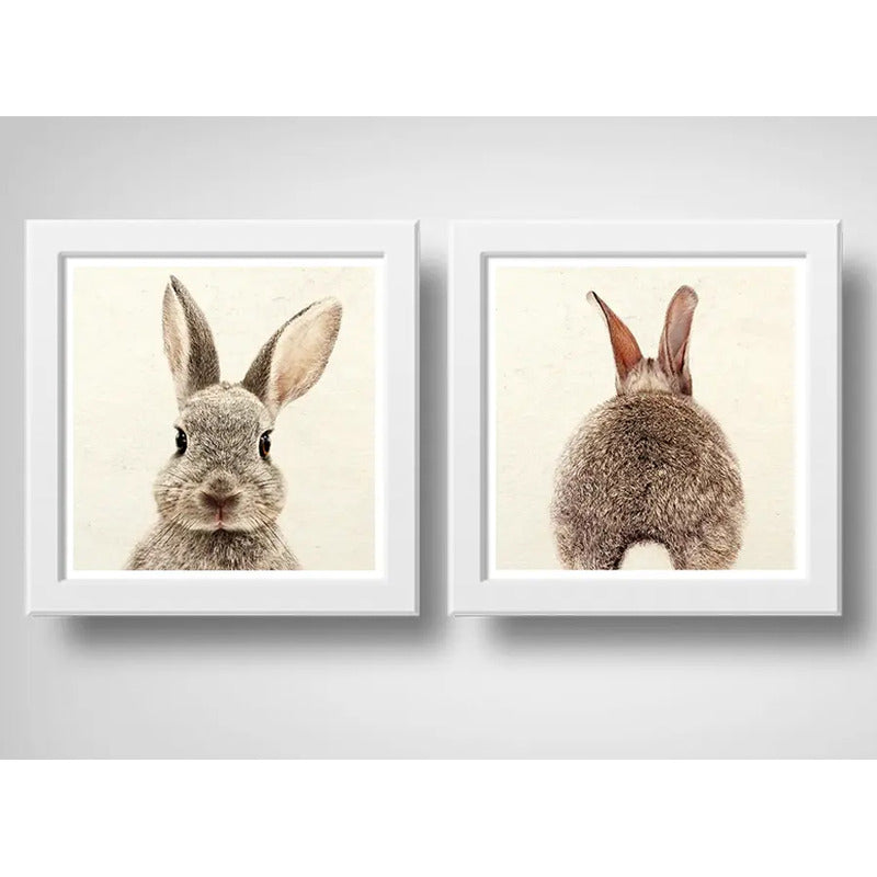 Set 2 Cuadros Conejo Pet Animal Arte Decoracion