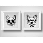 Set 2 Cuadros Yorkshire Gafas Lentes Sol Perro Mascotas Pet
