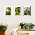 Set 3 Cuadros Arboles Vida Arte Colores Naturaleza Botanica Marco Negro