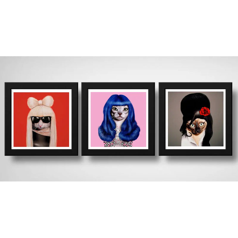 Set 3 Cuadros Gatas Pop Amy Katy Gaga Pet Mascota Decoracion