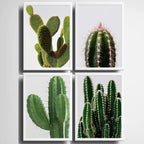 Set 4 Cuadros Cactus Suculentas Plantas Botanico Decoracion
