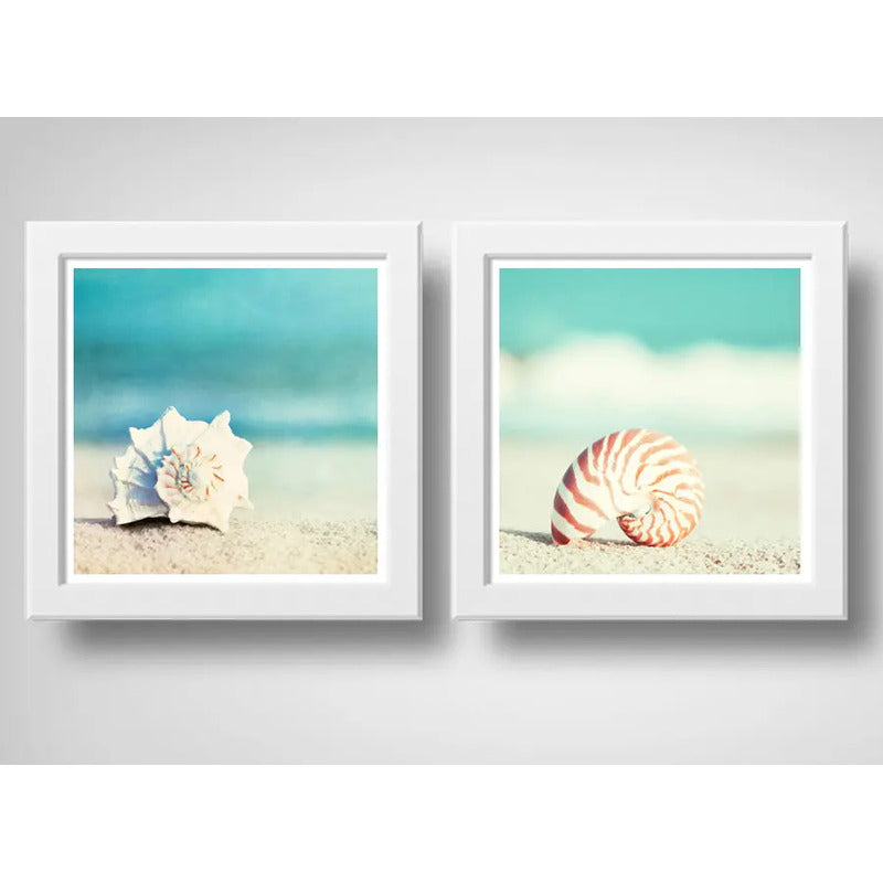 Set 2 Cuadros Conchas Mar Caracoles Playa Decoración Nautico