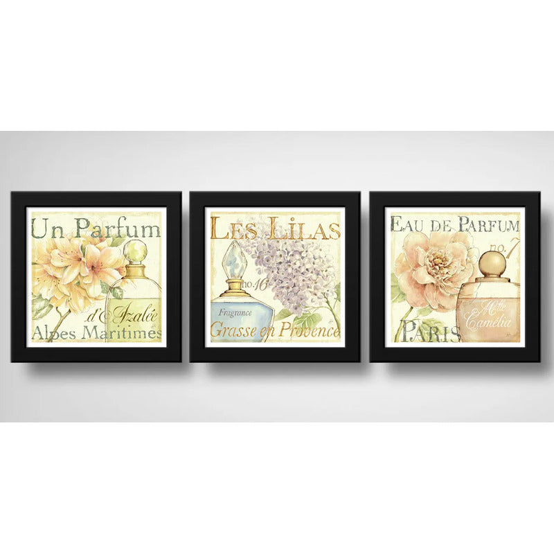 Set 3 Cuadros Flores Paris Perfume Baño Arte Decoracion