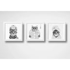 Set 3 Cuadros Gato Baño Blanco Y Negro Mascota Pet Decora