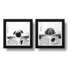 Set 2 Cuadros Perro Baño Pug Dachshund Mascotas Pet Decora