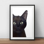 Set 2 Cuadros Gato Negro Y Blanco Minimalista Con Paspartu Marco Negro