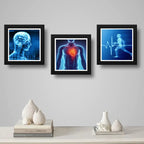 Set 3 Cuadros Medico Rayo X Anatomia Cuerpo Humano Clinica