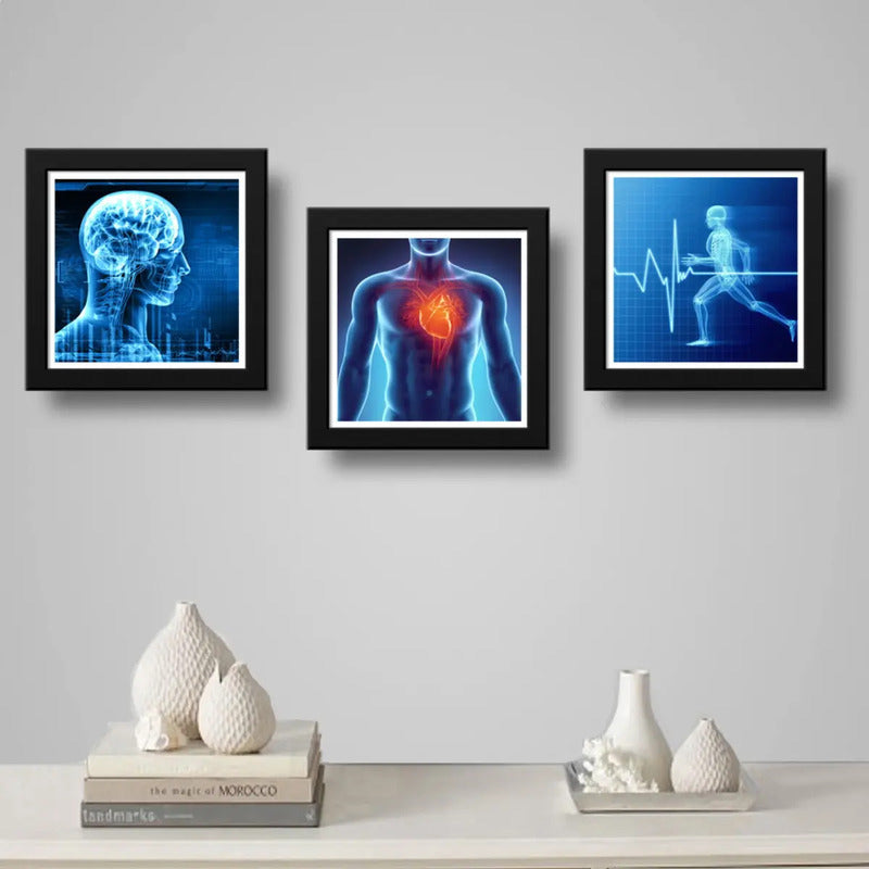 Set 3 Cuadros Medico Rayo X Anatomia Cuerpo Humano Clinica