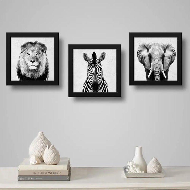 Set 3 Cuadros León Cebra Elefante Blanco Y Negro Decoracion