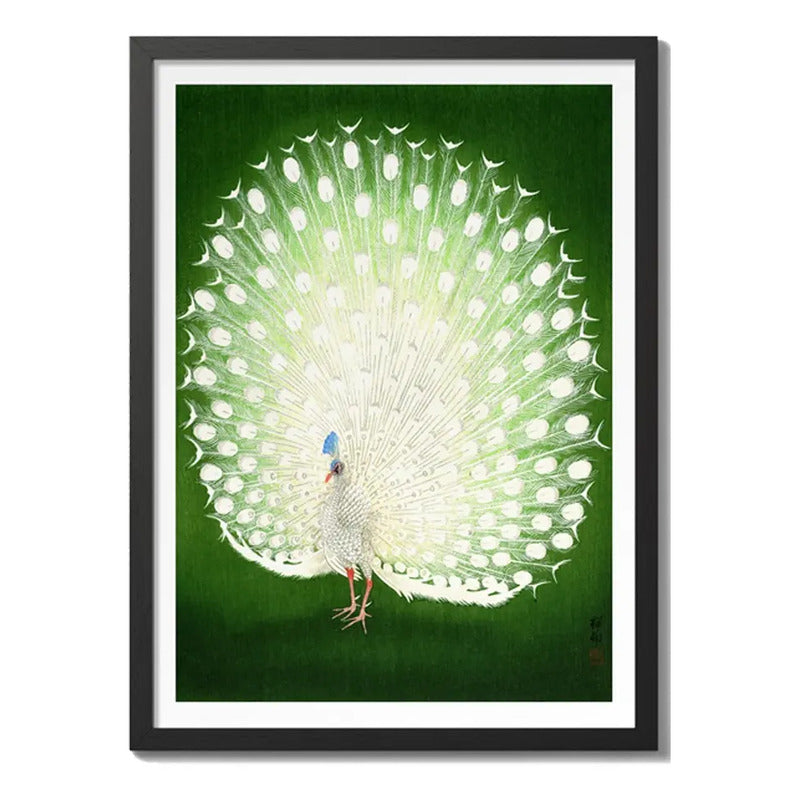 Cuadro Para Living Cocina Estudio Decoracion Moderna Green Ohara Koson Pavo Real Color Verde Con Marco Negro