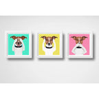 Set 3 Cuadros Perro Pop Art Colores Jack Russell Terrier Pet