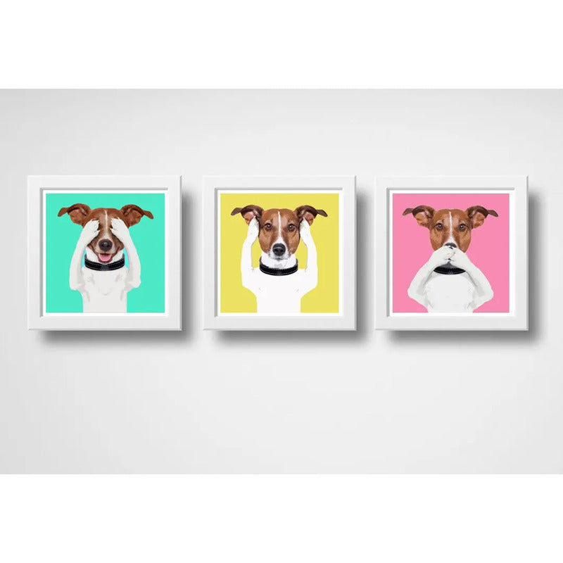 Set 3 Cuadros Perro Pop Art Colores Jack Russell Terrier Pet