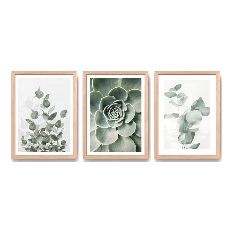 Set 3 Cuadros Naturaleza Verde Hojas Plantas Botanica Oak Marco Marrón Claro