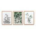 Set 3 Cuadros Naturaleza Verde Hojas Plantas Botanica Oak Marco Marrón Claro