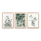 Set 3 Cuadros Naturaleza Verde Hojas Plantas Botanica Oak Marco Marrón Claro