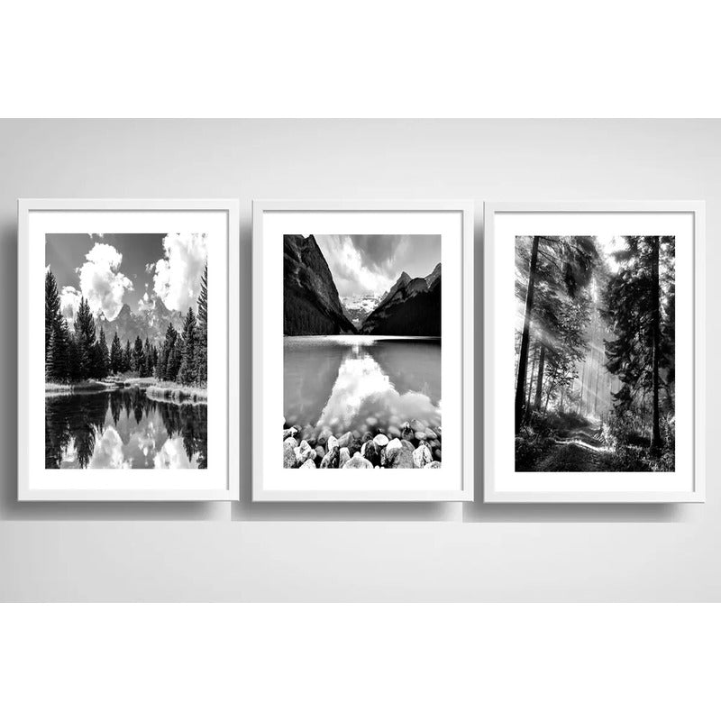 Set 3 Cuadros Paisajes En Blanco Y Negro Arboles Decoración