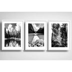 Set 3 Cuadros Paisajes En Blanco Y Negro Arboles Decoración
