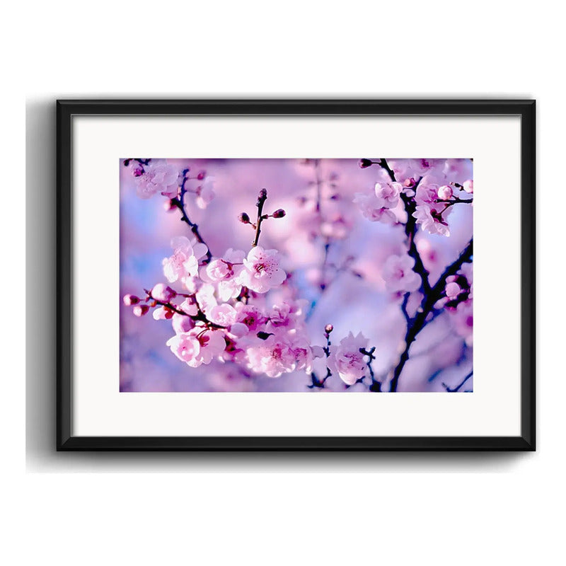 Cuadro Cerezo Sakura Flores Arte Japones Arbol Con Paspartú Cerezo Sakura 4 Con Marco Negro