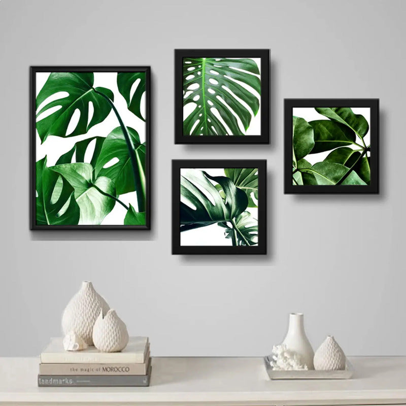 Set 4 Cuadros Hojas Plantas Monstera Botanico Br1 Decoracion