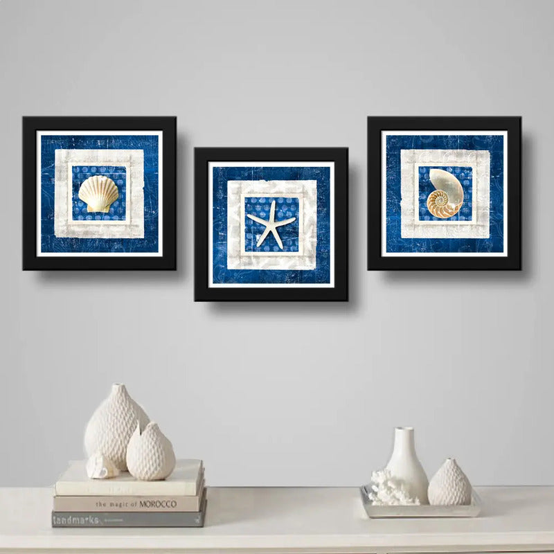Set 3 Cuadros Conchas Estrella Mar Playa Decoración Nautico