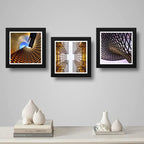 Set 3 Cuadros Arquitectura Moderna Decoracion Estudio Brs2