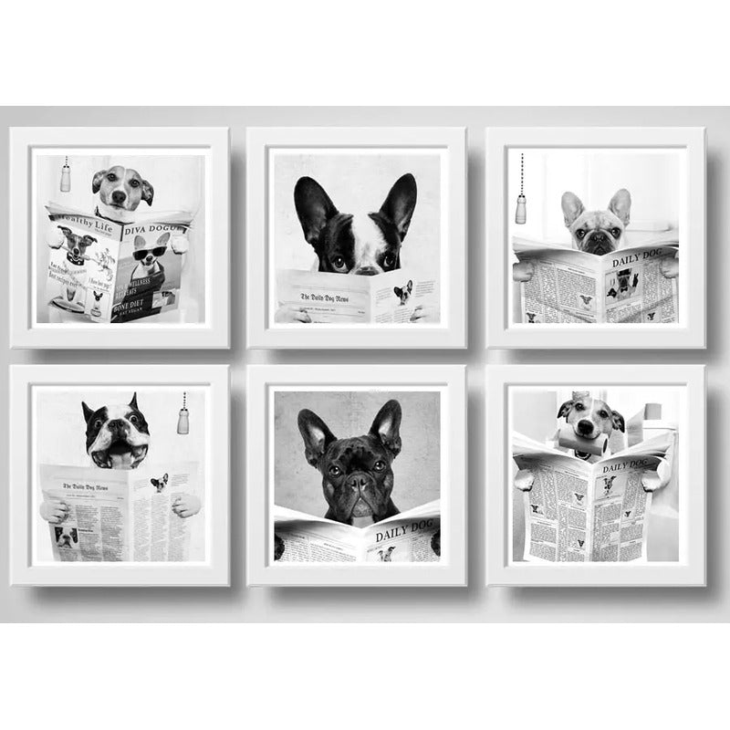 Set 6 Cuadros Perro Baño Decoracion Mascota Pet Veterinaria