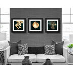 Set 3 Cuadros Hojas Doradas Oro Botanico Decoracion 33x33cm Marco Negro