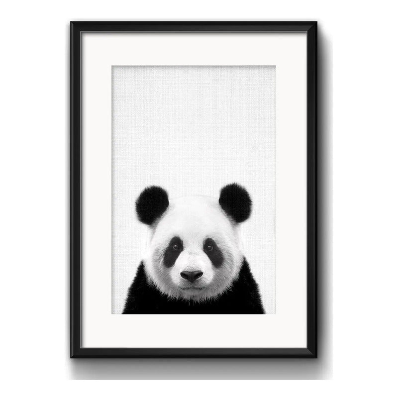 Cuadro Panda Blanco Y Negro Oso Animales Decoracion Paspartú Marco Negro