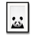 Cuadro Panda Blanco Y Negro Oso Animales Decoracion Paspartú Marco Negro