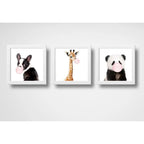 Set 3 Cuadros Panda Jirafa Perro Chicle Animales Decoracion