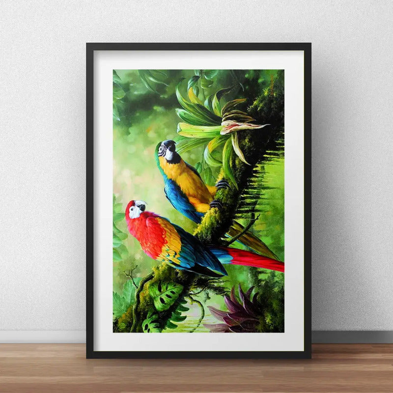 Cuadro Araras Loros Arte Floresta Decoracion Con Paspartú Marco Negro