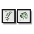 Set 2 Cuadros Hojas Minimalista Eucalipto Monstera Plantas