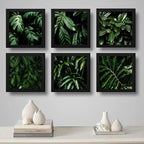 Set 6 Cuadros Hojas Plantas Verdes Decoracion Botanico