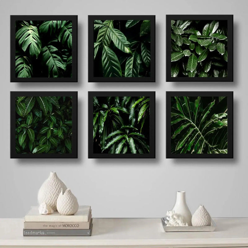 Set 6 Cuadros Hojas Plantas Verdes Decoracion Botanico