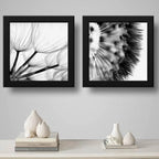 Set 2 Cuadros Flor Diente De Leon Taraxacum B/n 33x33cm Marco Negro