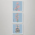 Set 3 Cuadros Flores Cerezo Arte Japones Tonos Azul 33x33cm Marco Blanco