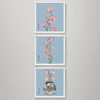 Set 3 Cuadros Flores Cerezo Arte Japones Tonos Azul 33x33cm Marco Blanco