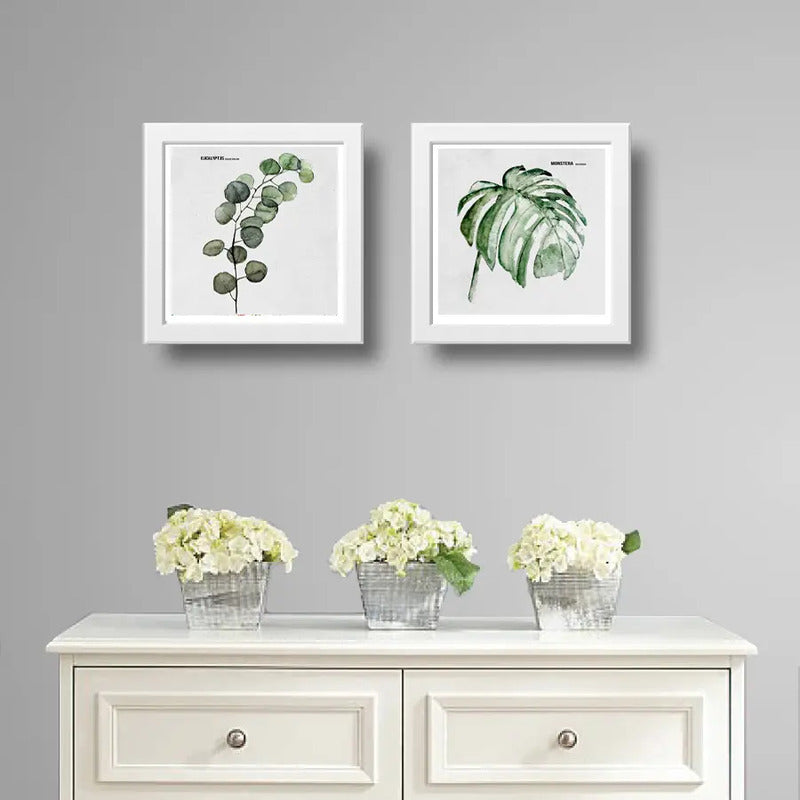 Set 2 Cuadros Hojas Minimalista Eucalipto Monstera Plantas