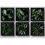 Set 6 Cuadros Hojas Plantas Verdes Decoracion Botanico