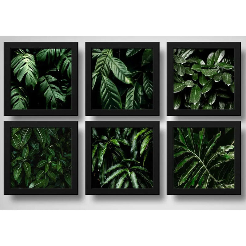 Set 6 Cuadros Hojas Plantas Verdes Decoracion Botanico