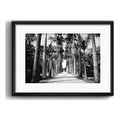 Cuadro Rio De Janeiro Fotos Blanco Negro Brs8 Con Paspartú Jardín Botánico Palmeras Con Marco Negro
