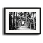 Cuadro Rio De Janeiro Fotos Blanco Negro Brs8 Con Paspartú Jardín Botánico Palmeras Con Marco Negro