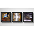 Set 3 Cuadros Arquitectura Moderna Decoracion Estudio Brs2