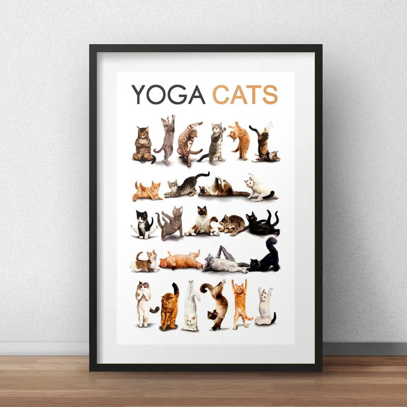 Cuadro Yoga Cats Gato Gatito Razas Mascota Pet Con Paspartu Marco Negro